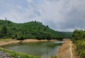 Cần bán 4ha đất rừng sản xuất tại Tân Lạc cạnh hồ giá rẻ, khi hậu mát mẻ quanh năm